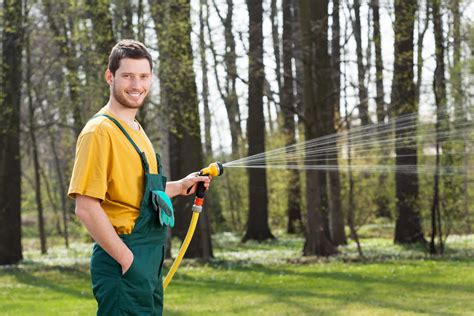 All You Need To Know About Watering Trees, Part 1 | Reliable Tree Care