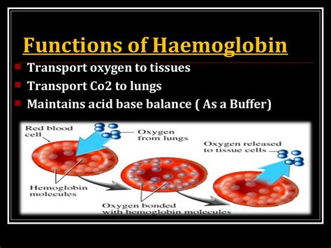 Haemoglobin