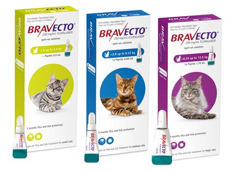 Bravecto Spot On For Cats - CareVets Remuera