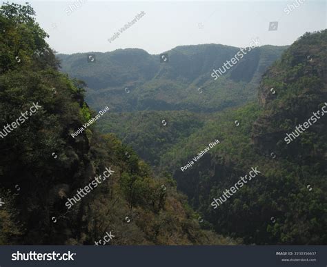 Diverse Flora Pachmarhi Biosphere Reserve India Stock Photo 2230356637 | Shutterstock