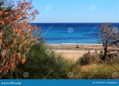 Green Landscape in Southern Spain on the Beach. Stock Photo - Image of ...