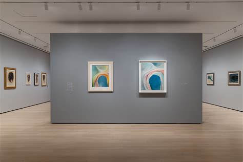 Installation view of the exhibition "Georgia O’Keeffe: To See Takes Time" | MoMA