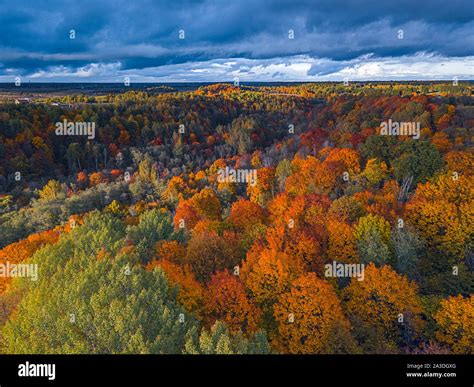 Aerial Drone view of colorful top of the forest at Autumn Stock Photo ...