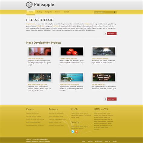 Free Template 269 Pineapple