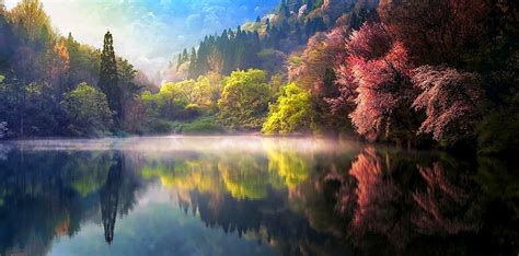 Nature, Spring, Sunrise, Mist, Lake, Reflection, Forest, Landscape, Water, South Korea wallpaper ...