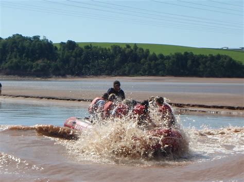 Phoebettmh Travel: (Canada) – Top things to do in Bay of Fundy