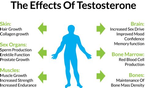 4 Effective Ways to Increase Testosterone