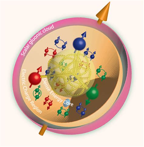 Physicists Determine Gluonic Gravitational Form Factors of Proton | Sci ...