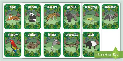 Jungle Flashcards (teacher made)