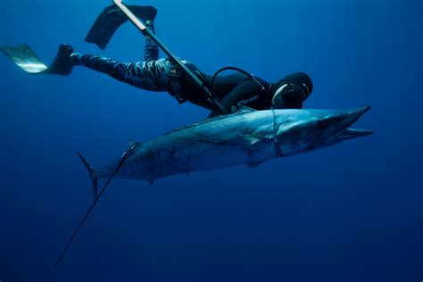 What is Ono Fish? Discover the Facts of Hawaiian Wahoo