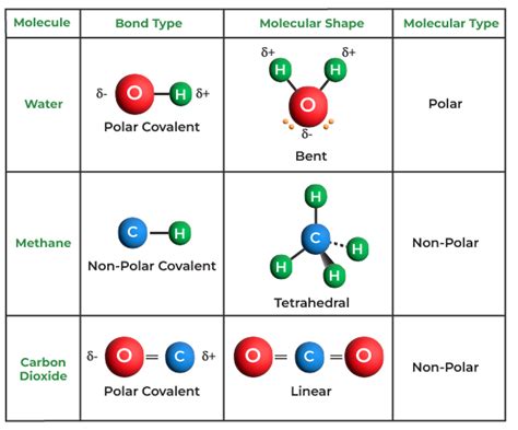 Covalent Bond - Definition, Examples, Types, Properties and FAQ (2023)