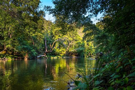 Belize Rivers - Everything You Need To Know About Belize Rivers