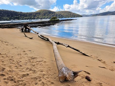 Dangar Island and Brooklyn Ferry - Destination's Journey