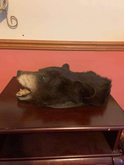 Black bear head mount - Matthew Bullock Auctioneers