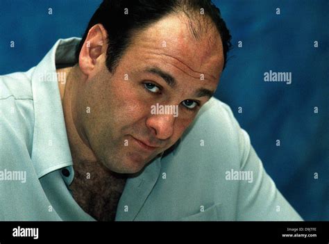 James gandolfini the sopranos hi-res stock photography and images - Alamy