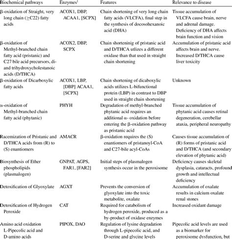 Functions of peroxisomal enzymes | Download Table