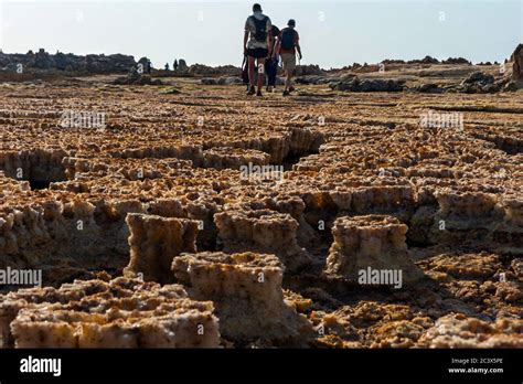 Dallol, Ethiopia - Nov 2018: Tourists walking surreal Dallol desert landscape, Danakil, Ethiopia ...