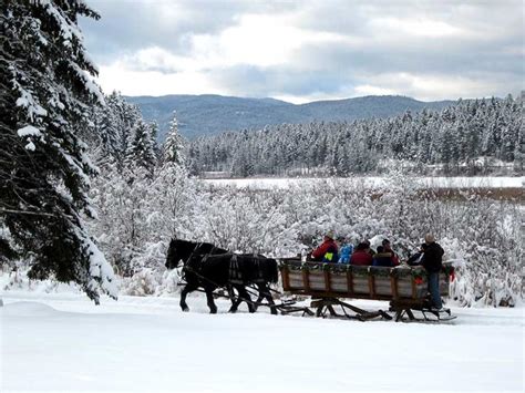 11 Best Winter Ranch Vacations In The U.S. | Top50 Ranches