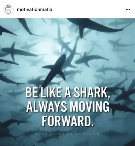 Funny Shark Quotes - ShortQuotes.cc