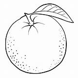 Orange Printable sketch template