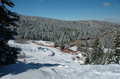 Sandia Peak, NM Hoping to Open Roller Coaster on the Slopes for Year ...