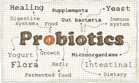 Let's Talk (Good) Bacteria: The Best Probiotic Strains for Your Gut ...