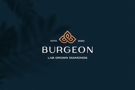 Burgeon on Behance