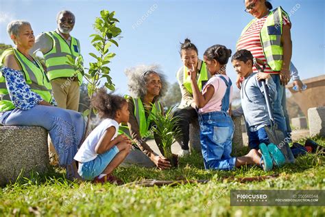 Volunteers planting trees in sunny park — outdoors, teamwork - Stock ...