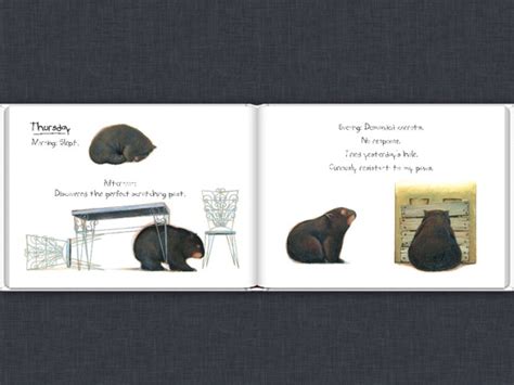 ‎Diary of a Wombat on Apple Books