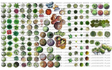 Printable Landscape Design Symbols