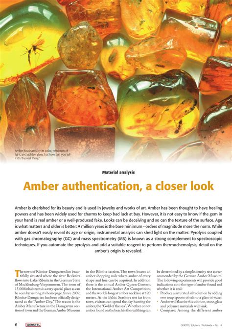 (PDF) Amber History