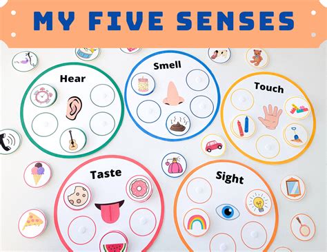 Toddler Five Senses Activities Sorting Learning Matching Busy Book Printable Worksheet Preschool ...