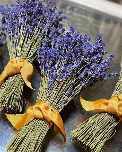 5 Dried Lavender Bouquets for Wedding Flowers and Home Decor: | Etsy