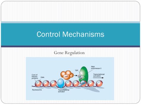 Gene Regulation