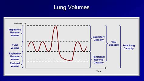 Pulmonary Function Tests (PFT): Lesson 1 - An Introduction | Career schools, Respiratory therapy ...