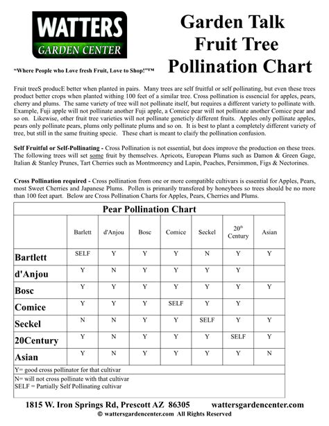 Fruit Tree Pollination Chart - DocsLib