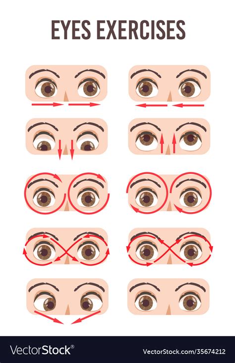 Eye exercise set movement for eyes relaxation Vector Image