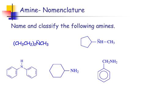 Amine Nomenclature Worksheet With Answer Key - Printable Word Searches