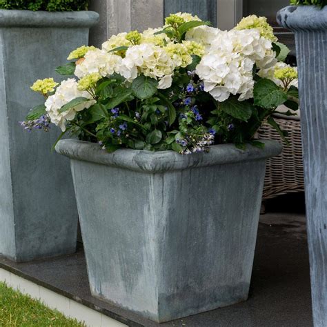 Plain Planters | Zinc planters, Planters, Garden plant pots