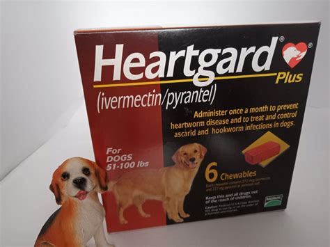 Heartgard Plus Large Dogs Dewormer Heartworm Roundworm Hookworm Tapeworm 6 Month