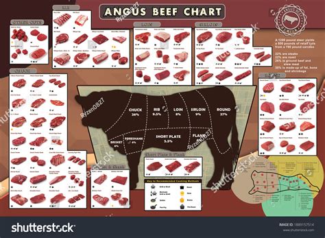 High Resolution Printable Beef Cuts Chart - prntbl.concejomunicipaldechinu.gov.co