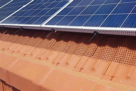 Solar Panels Bird Proofing Services In Sydney | Pestworks