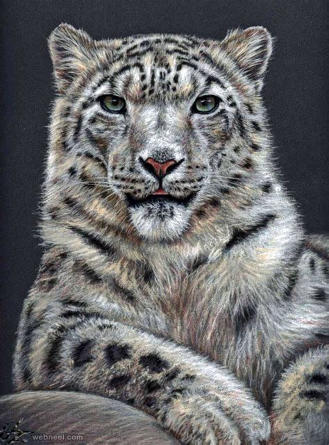 26 Stunning drawings of animals Made From Pencil And Paper | Realistic animal drawings, Animals ...