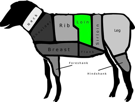 On the Lamb: A Chart of the Major Cuts From Leg to Loin