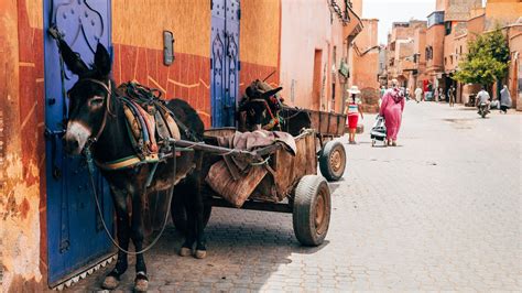 Marrakech Hotels, in Medina: 2,701 Cheap Marrakech Hotel Deals