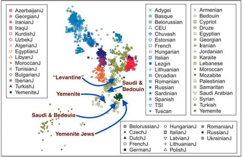 Yemen and the Yemeni Jews – Gene Expression