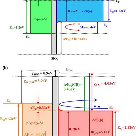 a Band diagram showing the rear side of an n-type TOPCon solar cell ...