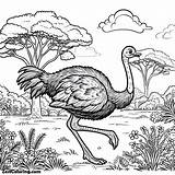 Ostrich Walking On The Meadow Coloring Page  For Kids – Smart sketch template