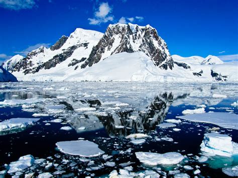 Best Things To Do In Antarctica: Tourist Attractions