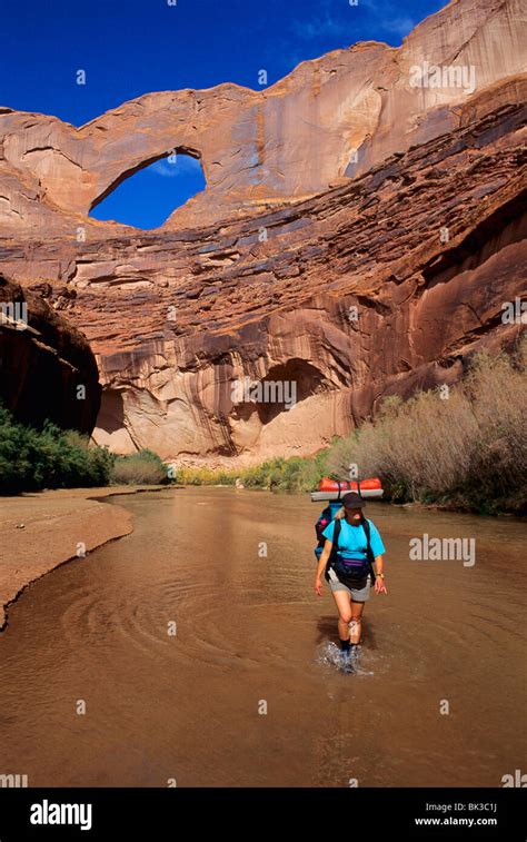 Hiking in the Escalante River below Steven's Arch, Coyote Gulch Stock Photo: 28964142 - Alamy